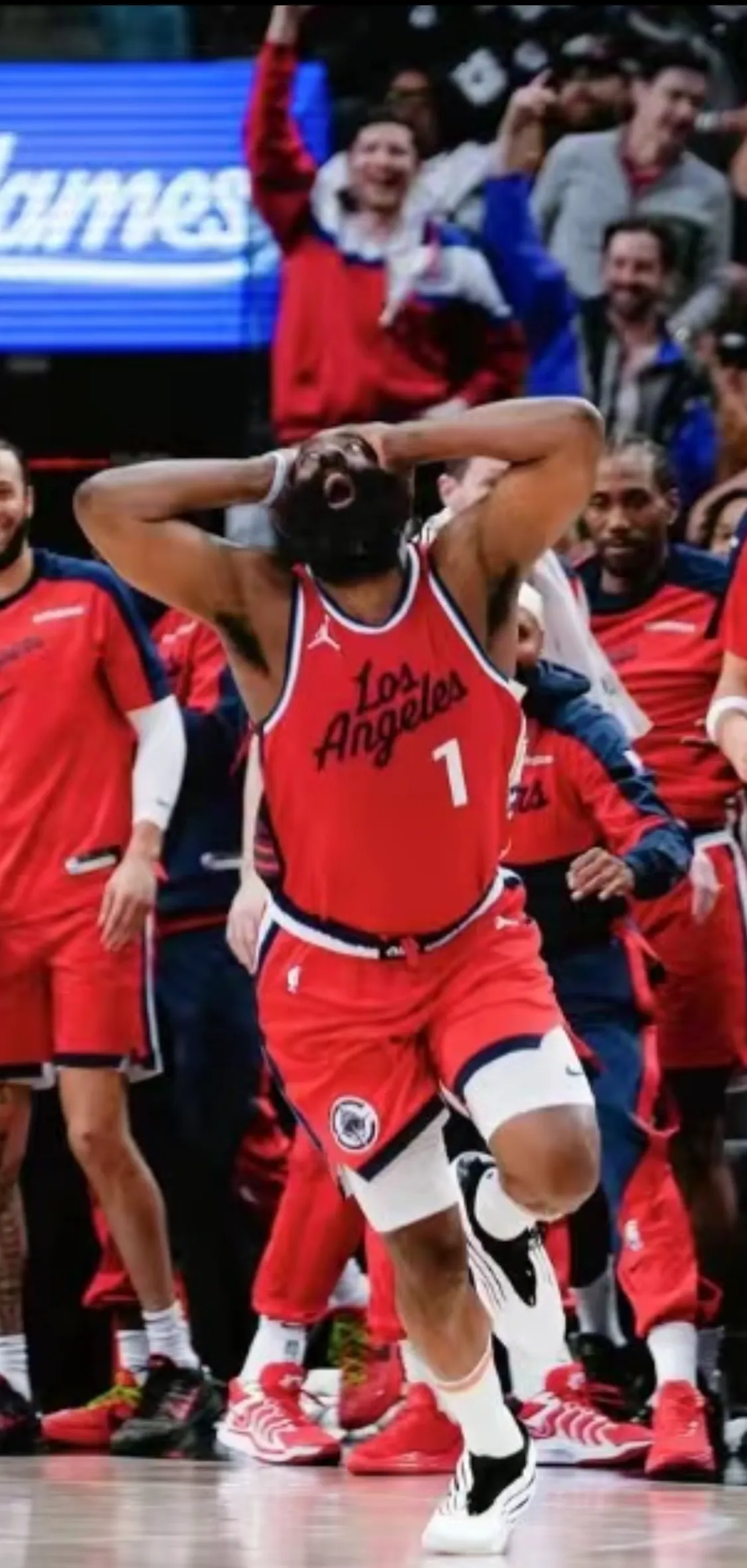 开云体育登录平台哈登在加拿大队比赛中败北，逆转引发热议！的简单介绍